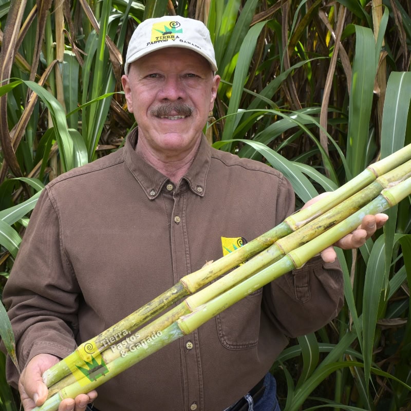 Pasto Rodas - Imagen 6