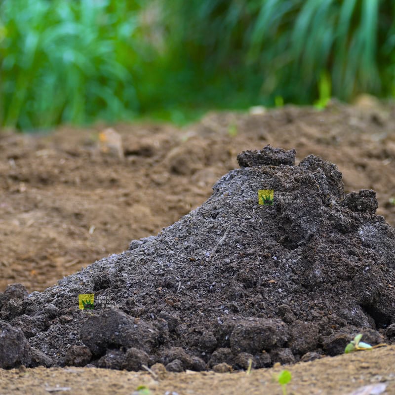 Abono Orgánico - Imagen 3