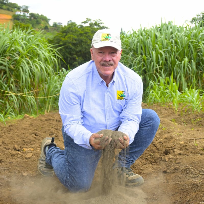 Micorriza - Imagen 4