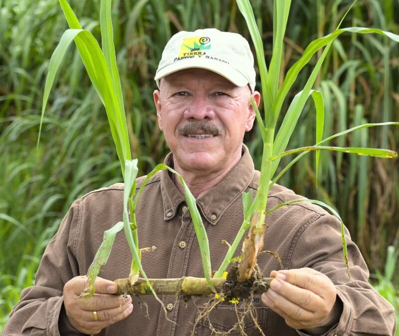 Conoce el Pasto Rodas