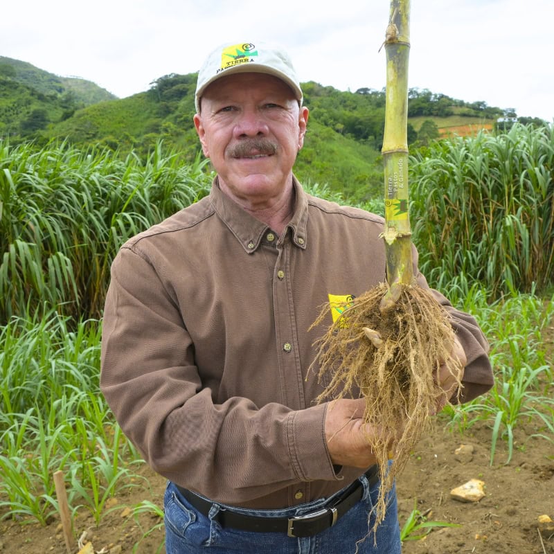 Pasto Rodas - Imagen 7