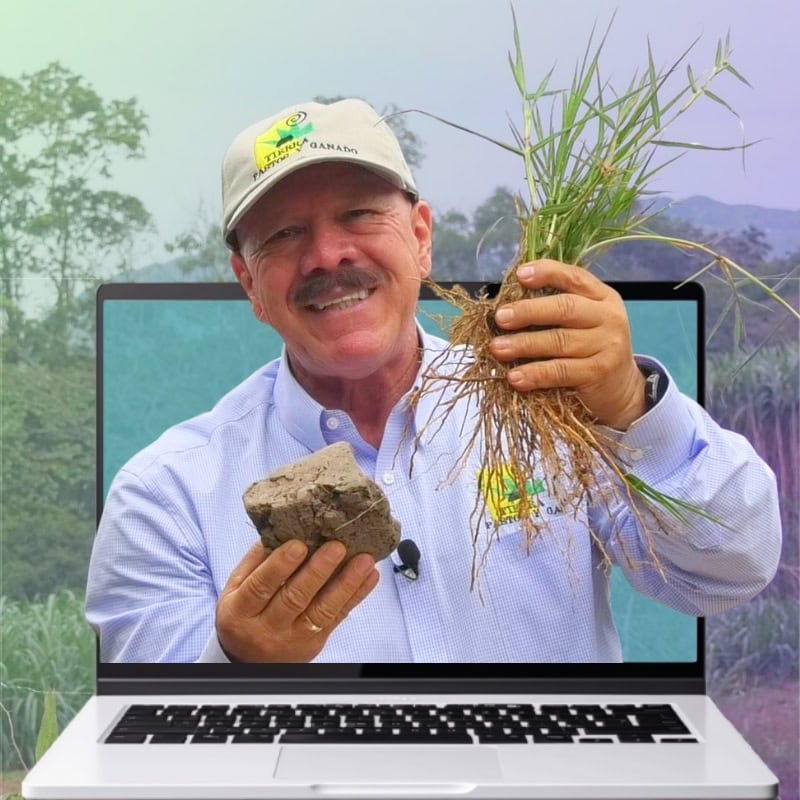 Consulta-Virtual-TPG (2)