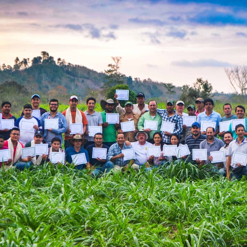 Seminario-presencial-TPG